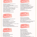 12 Month Wedding Planning Timeline Perfete Wedding Planning
